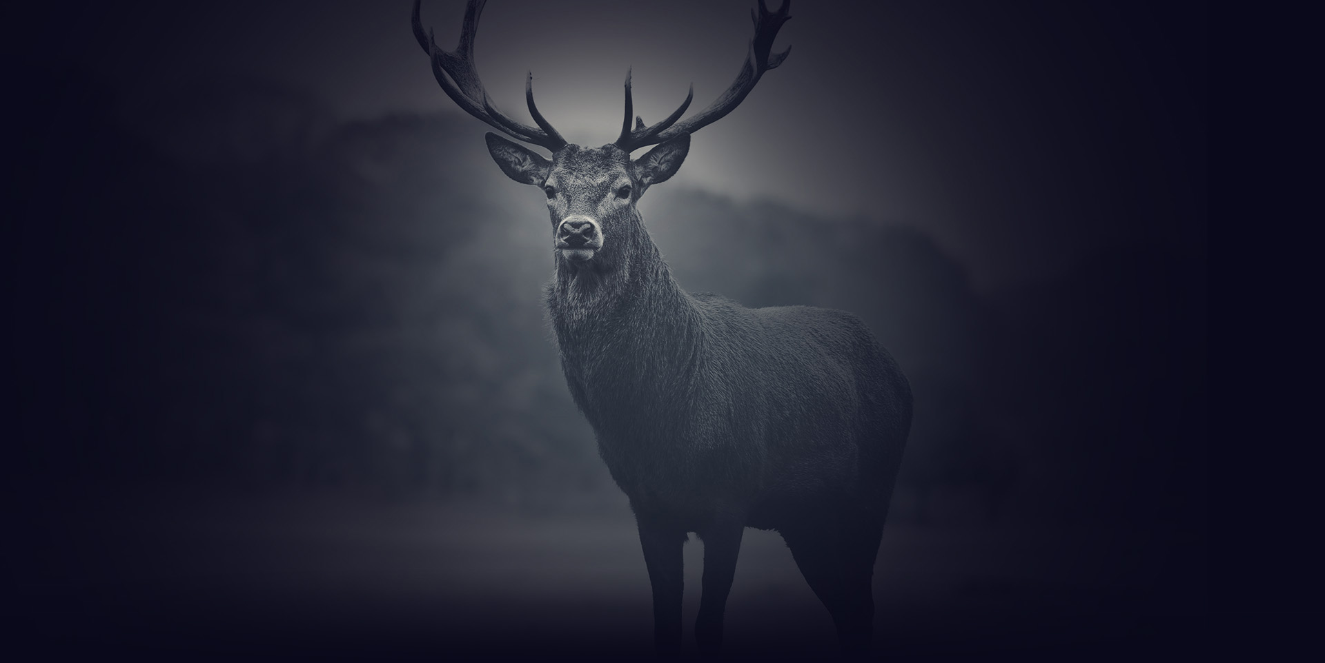 Welcome to Buck House